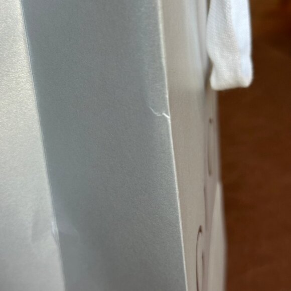 Gucci Silver Paper Shopping Bag with Ribbon - Picture 8 of 12